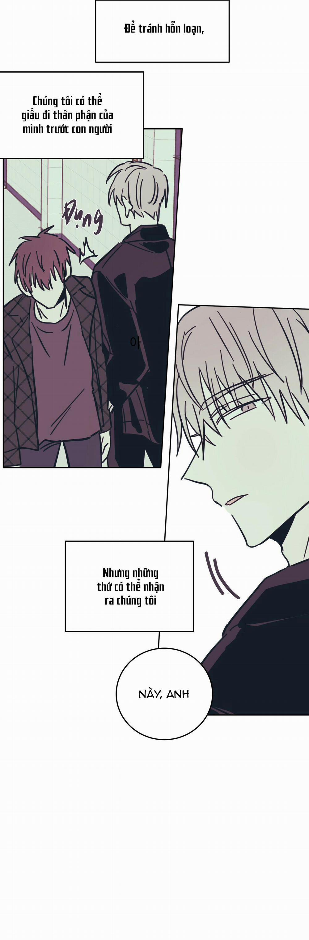 Ác ma giữa ngã tư 5 trang 14