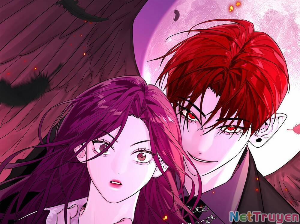 Ác Ma May Mắn 24 trang 0