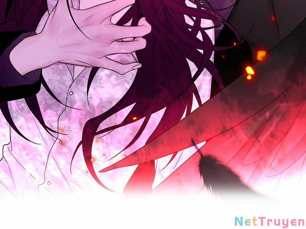 Ác Ma May Mắn 24 trang 1