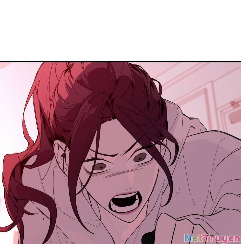 Ác Ma May Mắn 24 trang 12