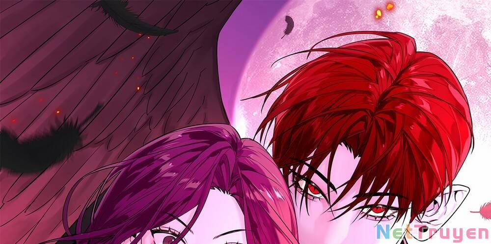 Ác Ma May Mắn 26 trang 0