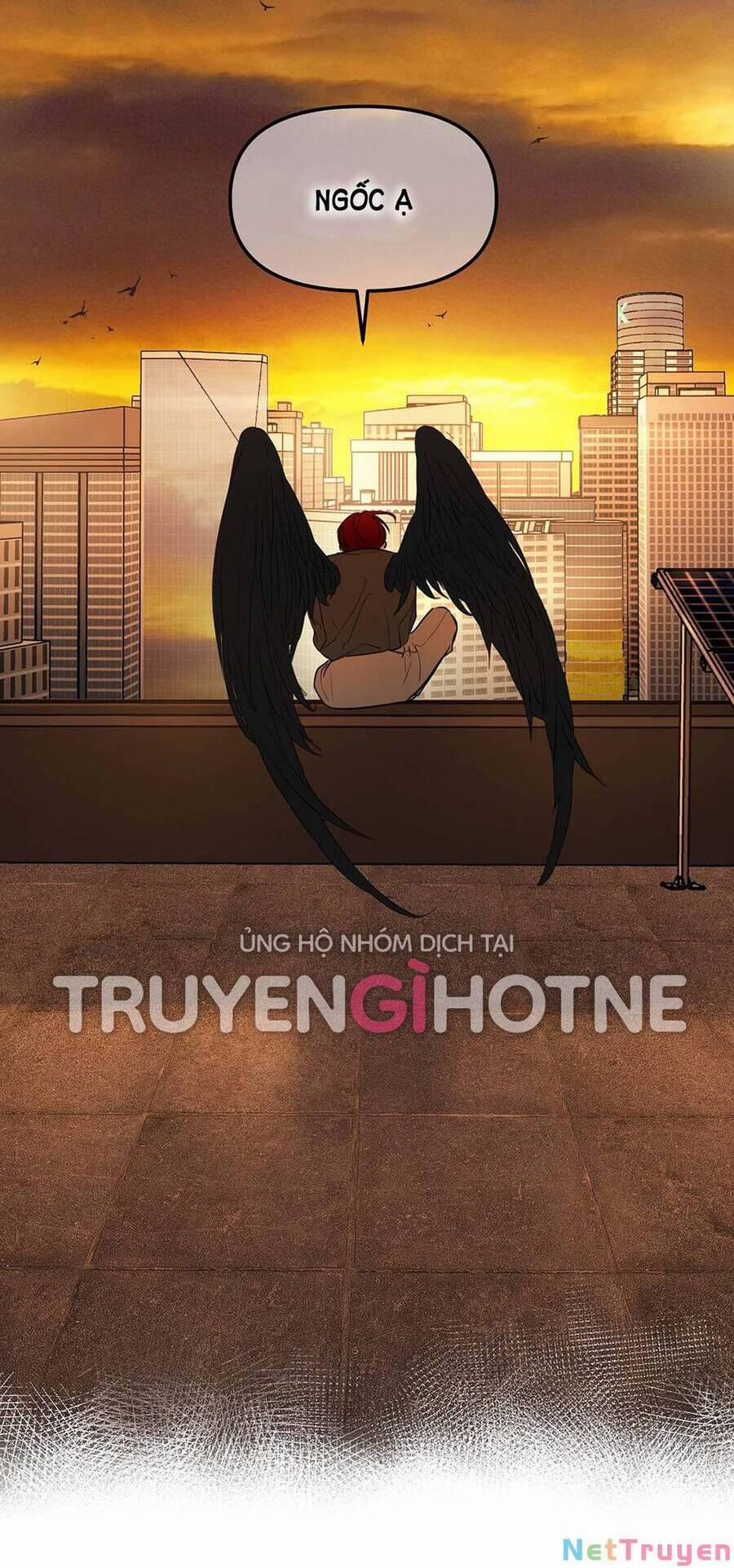 Ác Ma May Mắn 61 trang 14