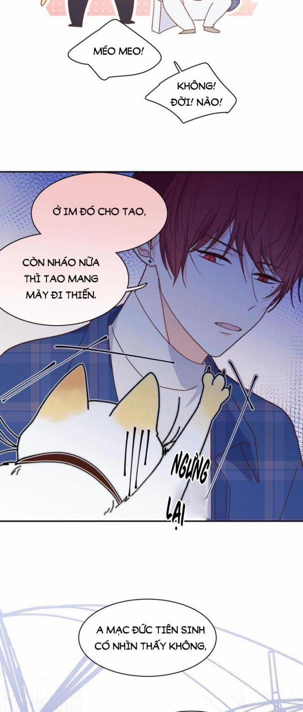 Ác Ma Tiên Sinh Không Đáng Sợ 6 trang 12