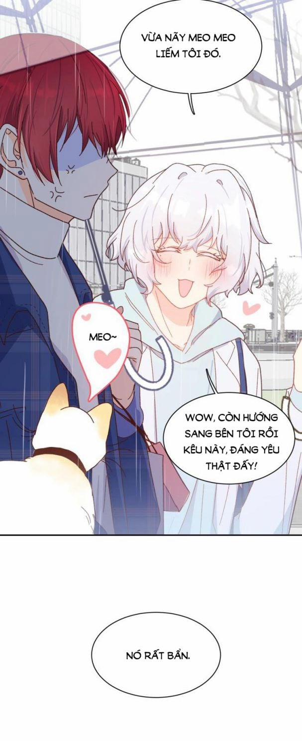 Ác Ma Tiên Sinh Không Đáng Sợ 6 trang 13