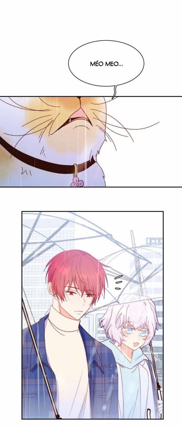 Ác Ma Tiên Sinh Không Đáng Sợ 6 trang 6