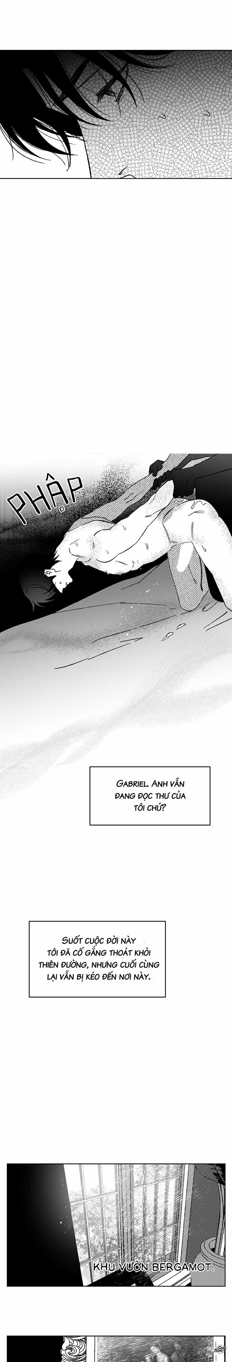 Ác Ma Trên Thiên Đường 10 trang 17