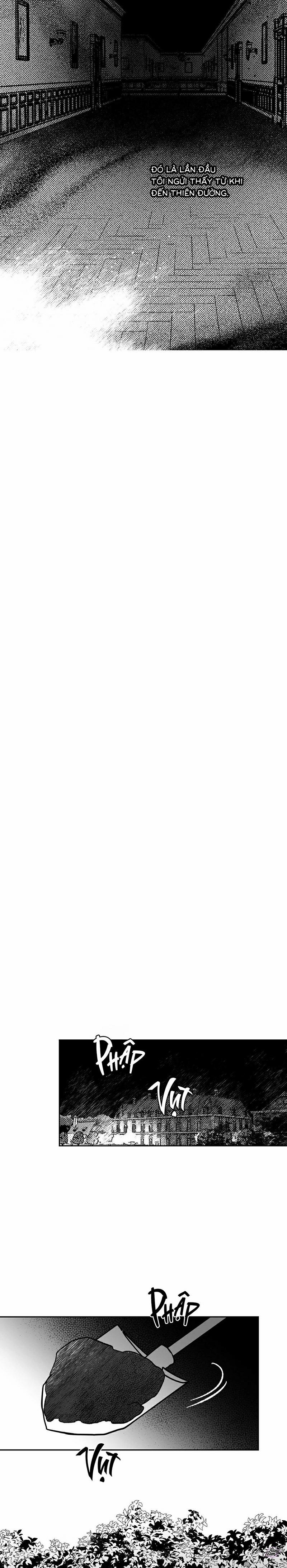 Ác Ma Trên Thiên Đường 8 trang 24