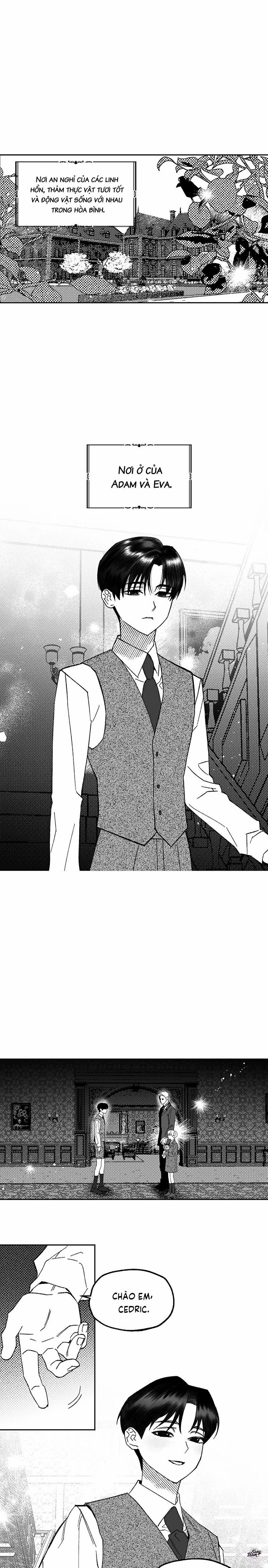 Ác Ma Trên Thiên Đường 8 trang 8