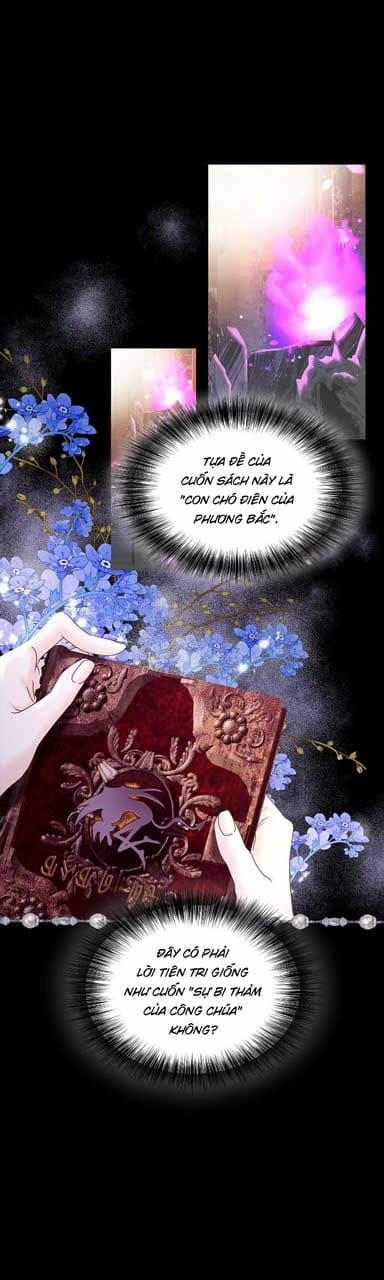 Ác Nữ Thuần Hóa Ác Quỷ Điên Rồ 3 trang 17