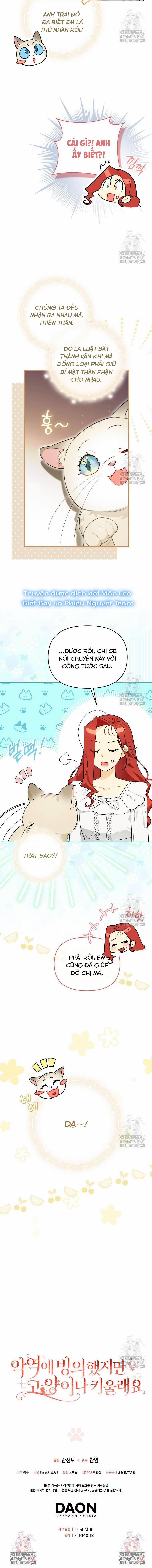 Ác Nữ Trở Thành Miêu Nô 14 trang 11