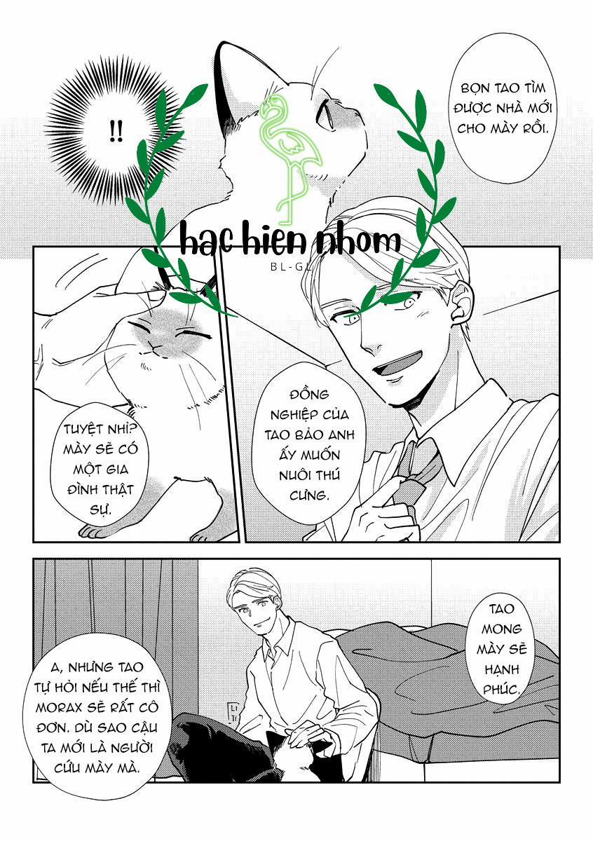 Ác quỷ trong giấc mơ của cậu 2 trang 13