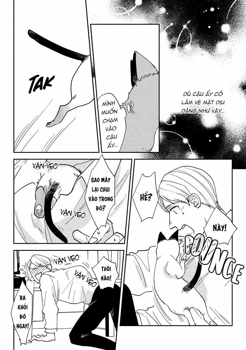 Ác quỷ trong giấc mơ của cậu 2 trang 15