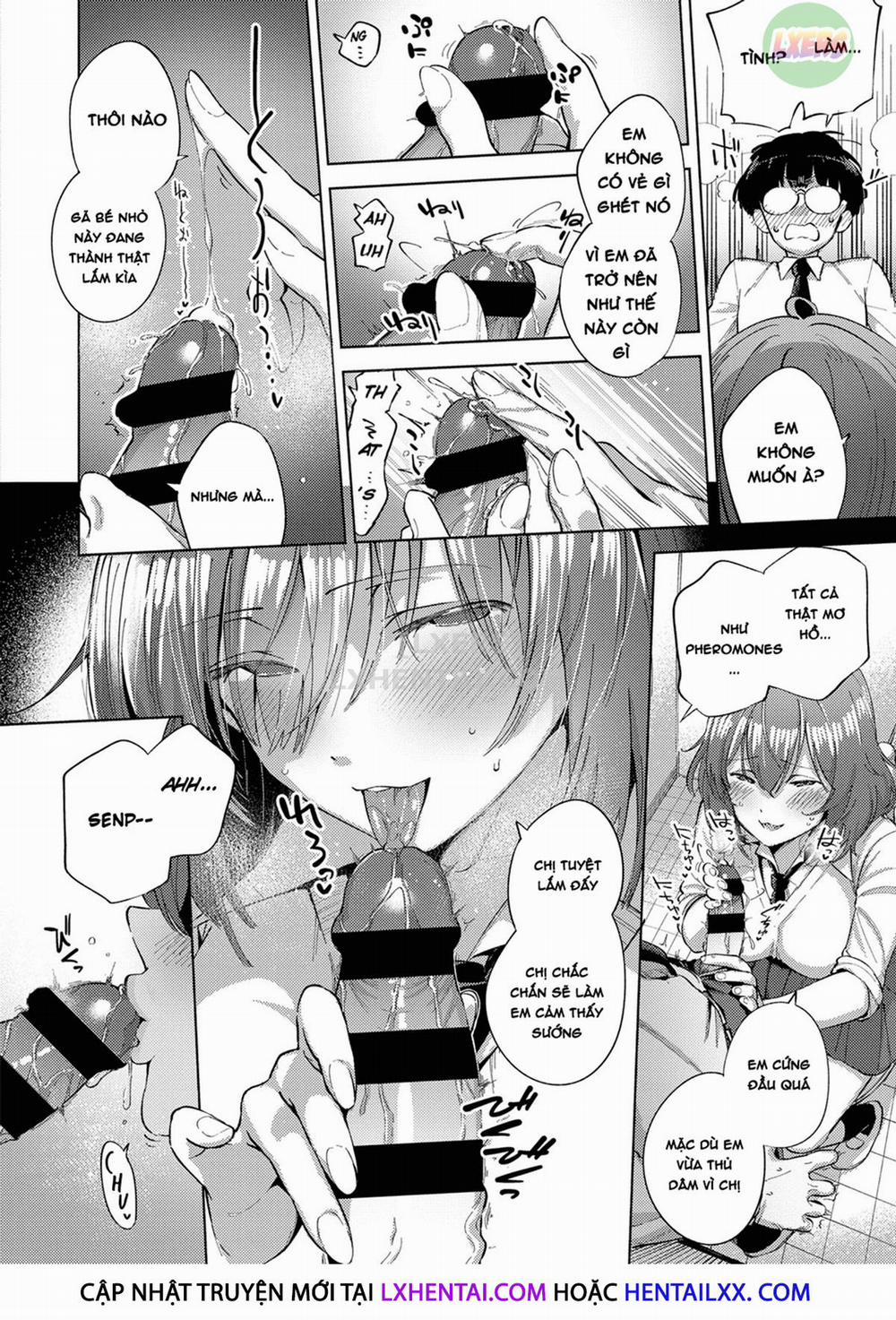 Addictive Pheromone 6 trang 13