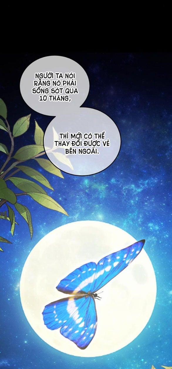 Ai Đã Bắt Cóc Hoàng Hậu? 9.1 trang 11