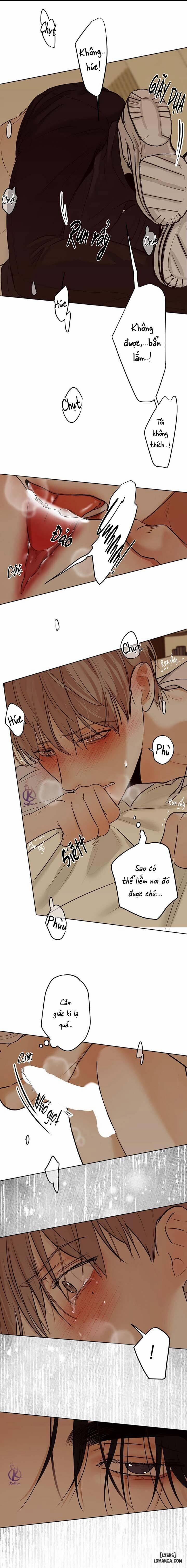 Ái Dục 10 trang 10