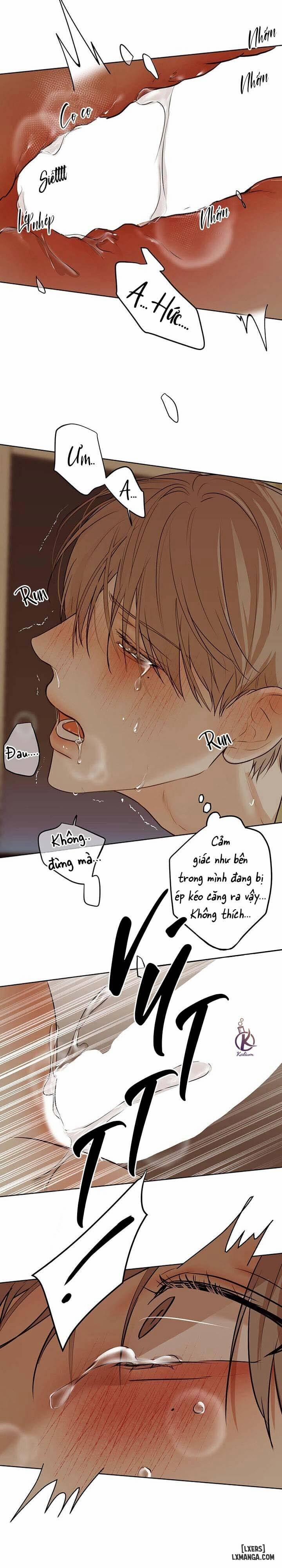 Ái Dục 11 trang 3