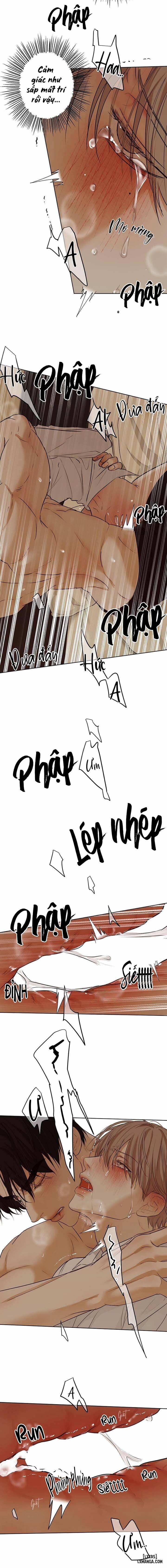 Ái Dục 11 trang 8