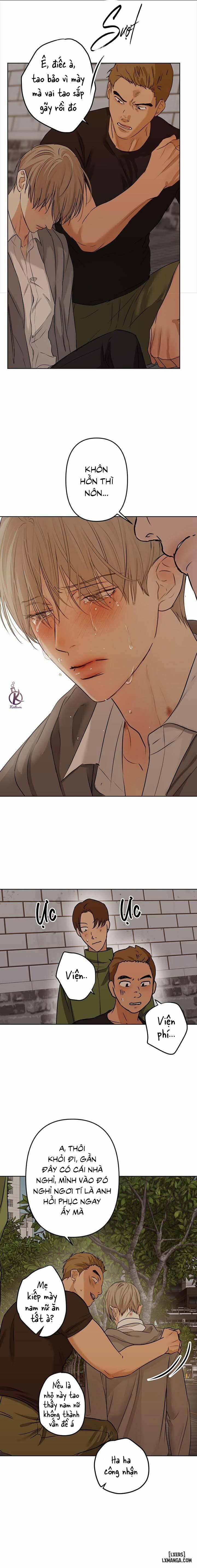 Ái Dục 12 trang 11