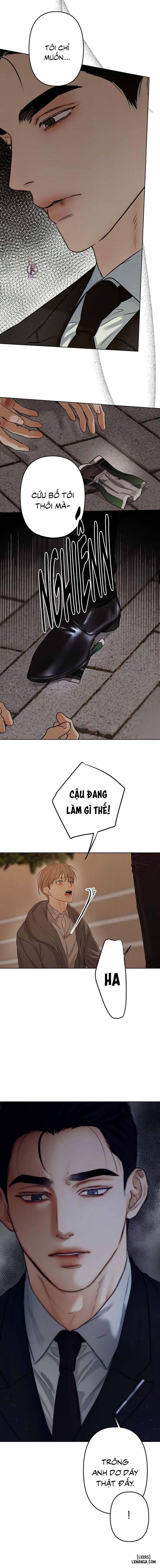 Ái Dục 13 trang 13