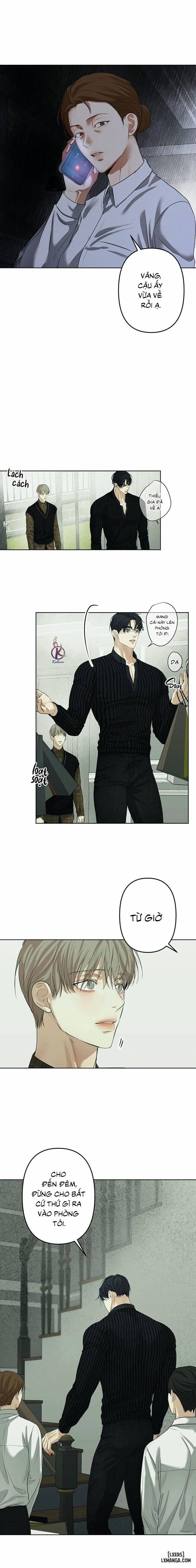 Ái Dục 16 trang 8