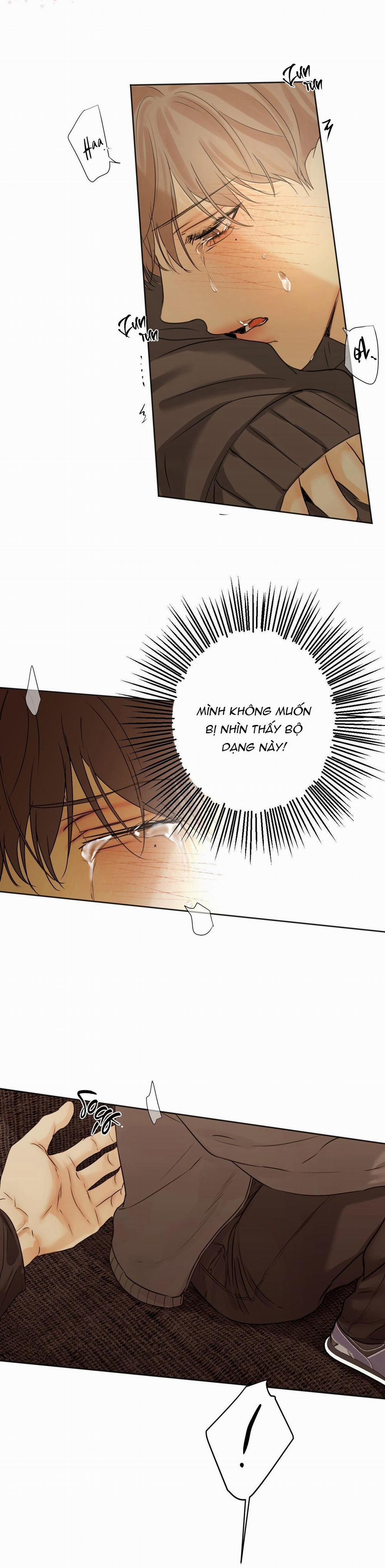 Ái Dục 33 trang 13