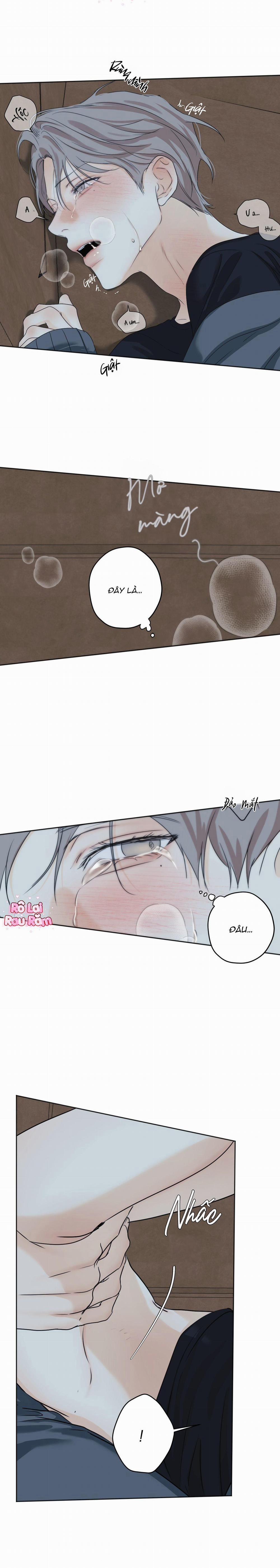 Ái Dục 35 trang 12