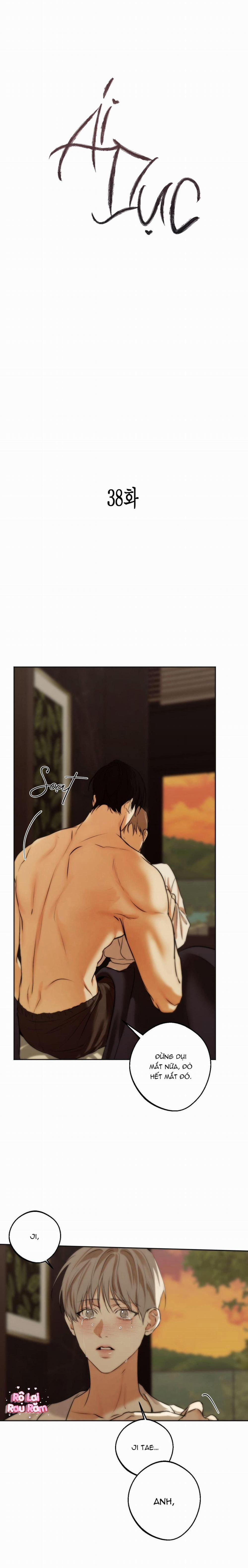 Ái Dục 38 trang 13