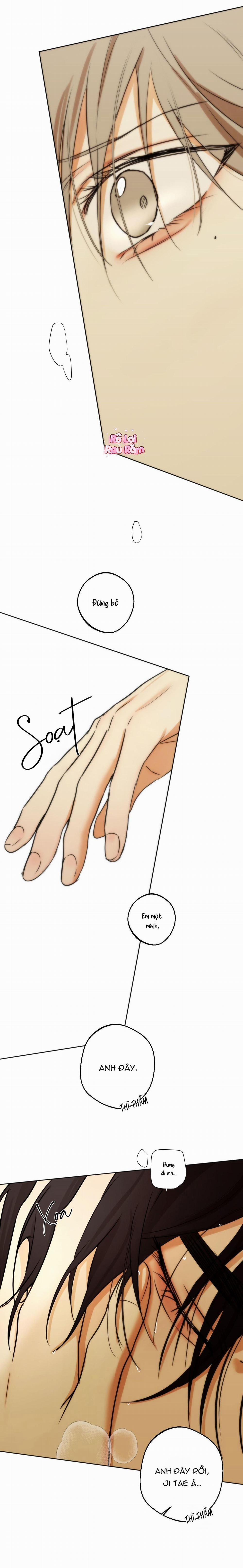 Ái Dục 38 trang 5