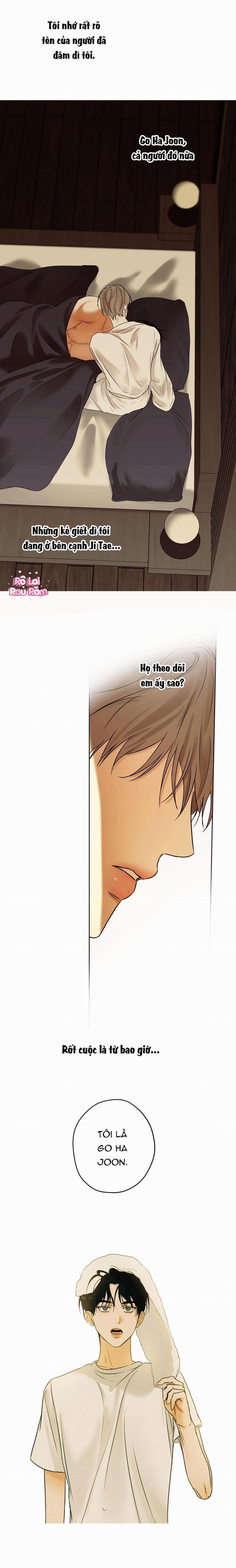 Ái Dục 38 trang 8