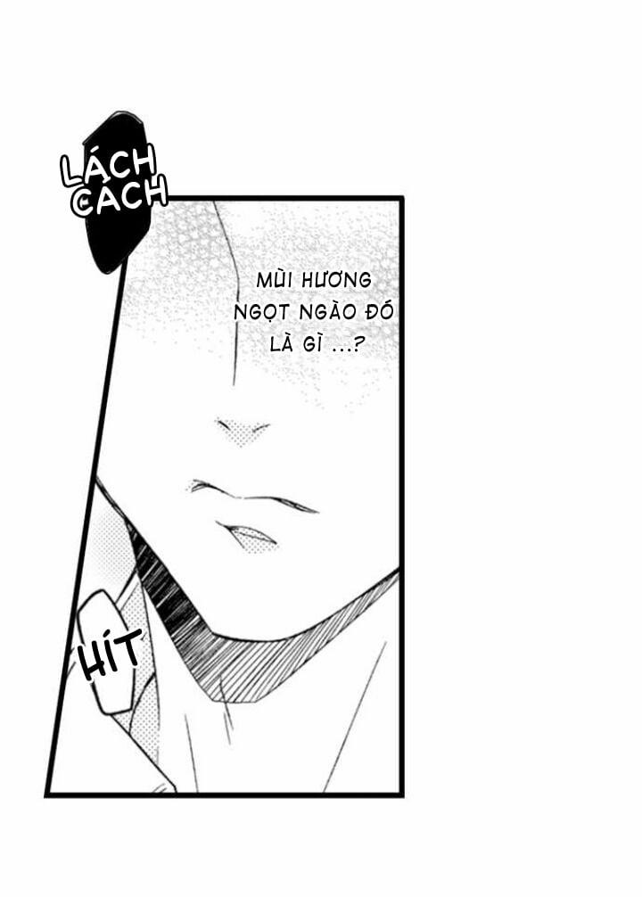 Ai Muốn Được Yêu Thương Nào 2.1 trang 2