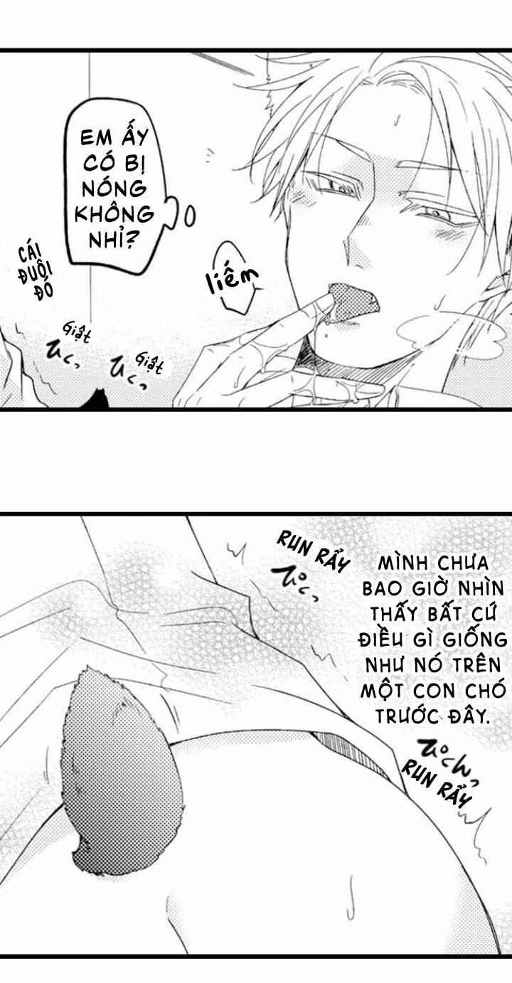 Ai Muốn Được Yêu Thương Nào 3.1 trang 17