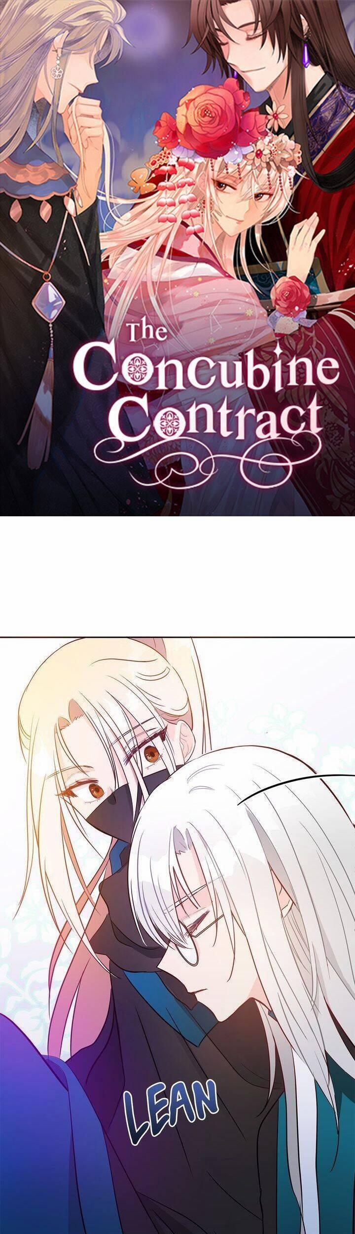 Ái Phi, Dao Của Nàng Rơi Rồi 41 trang 1