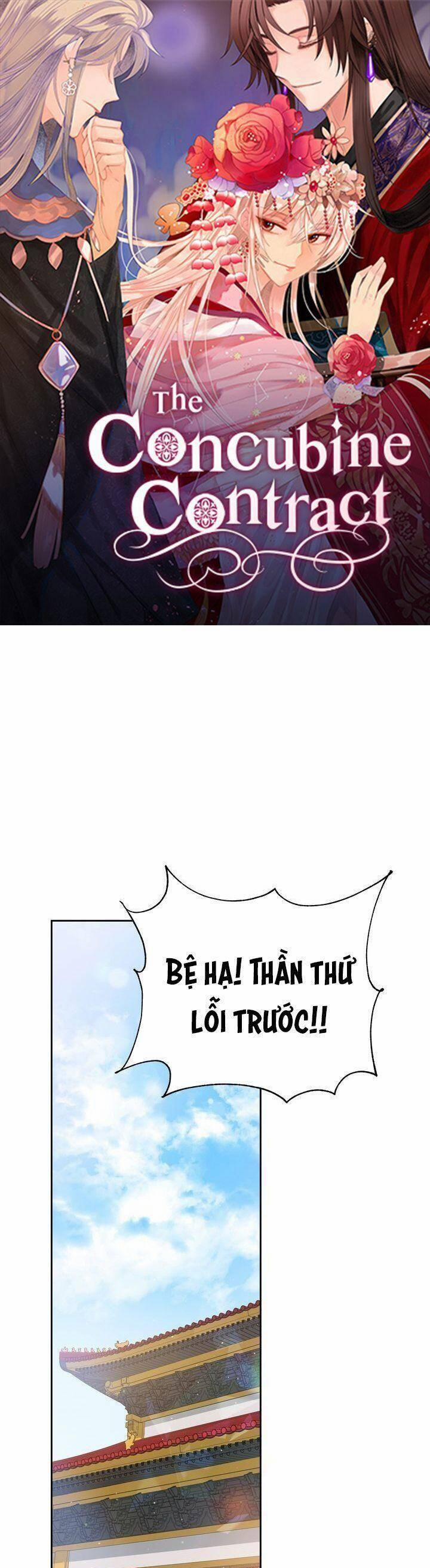 Ái Phi, Dao Của Nàng Rơi Rồi 54 trang 1