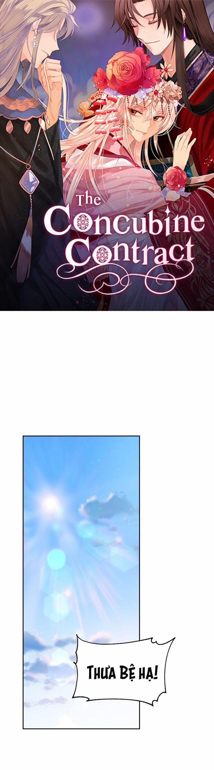 Ái Phi, Dao Của Nàng Rơi Rồi 55 trang 1