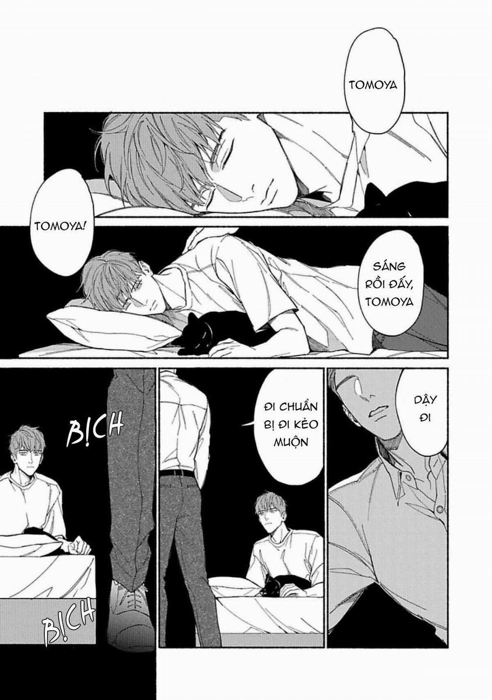 Ai, See You 6 trang 8