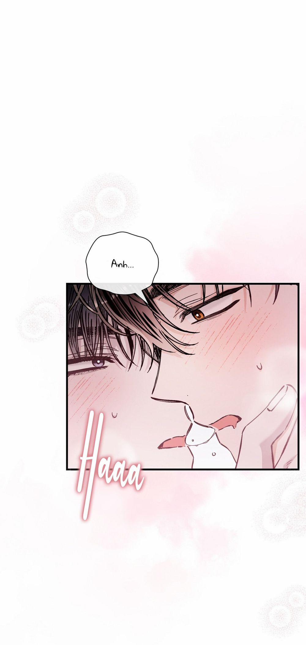 Ái Tình Trái Ngang 24 trang 1