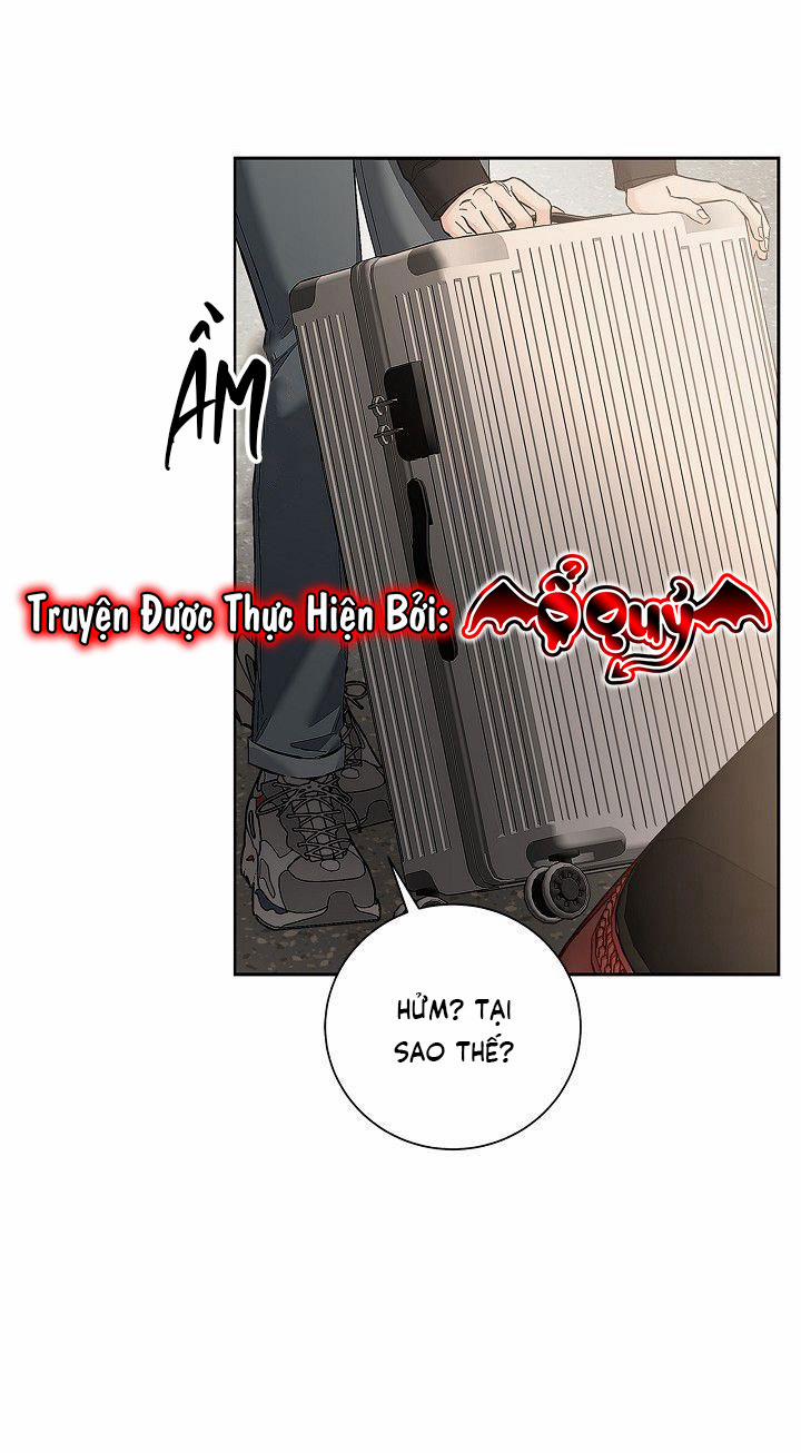 Ái Tình Trái Ngang 8 trang 8