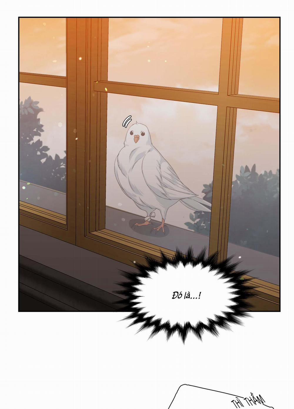 ÁI TÌNH TỰ TÂM 20 trang 32