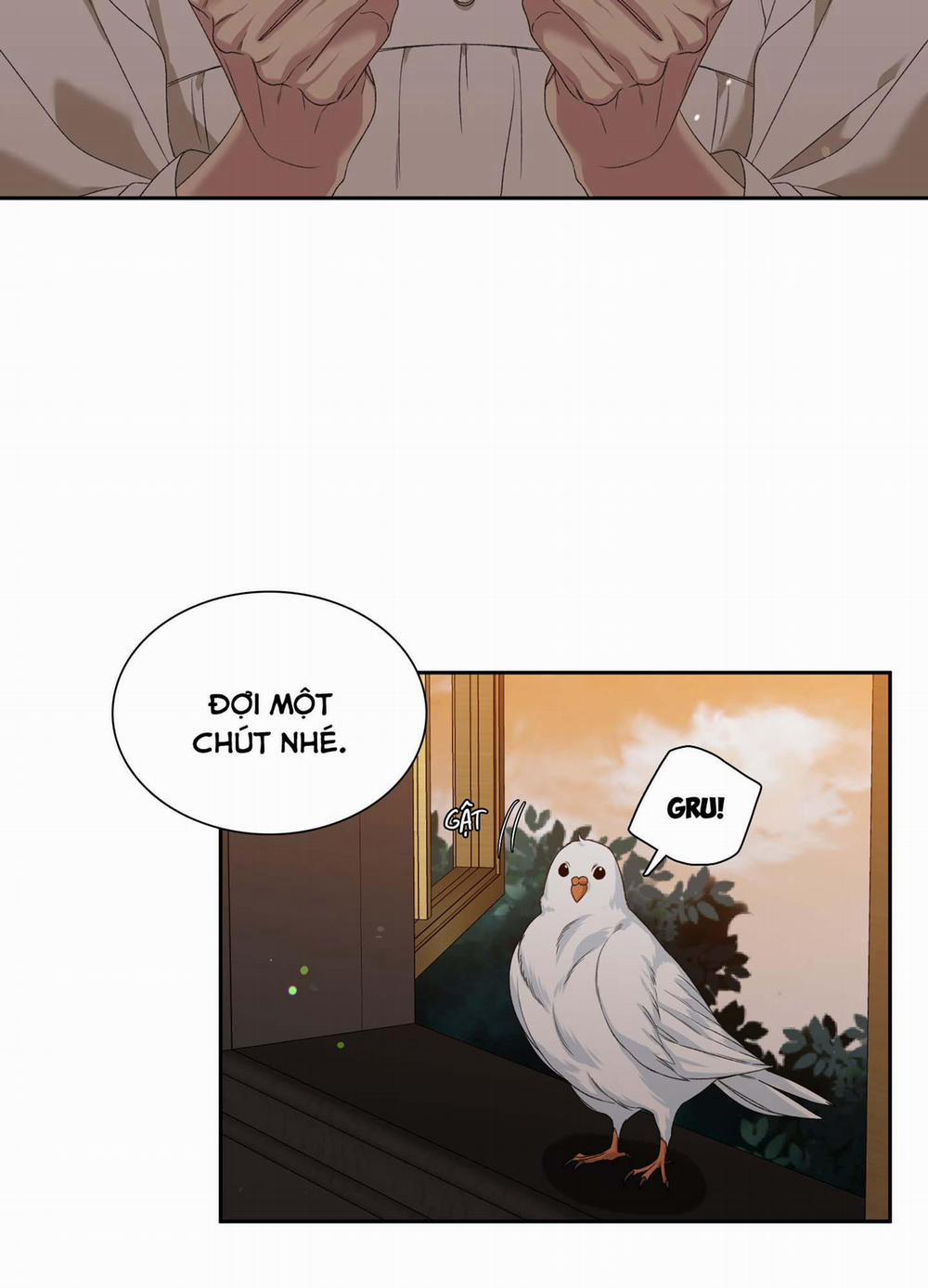 ÁI TÌNH TỰ TÂM 20 trang 36