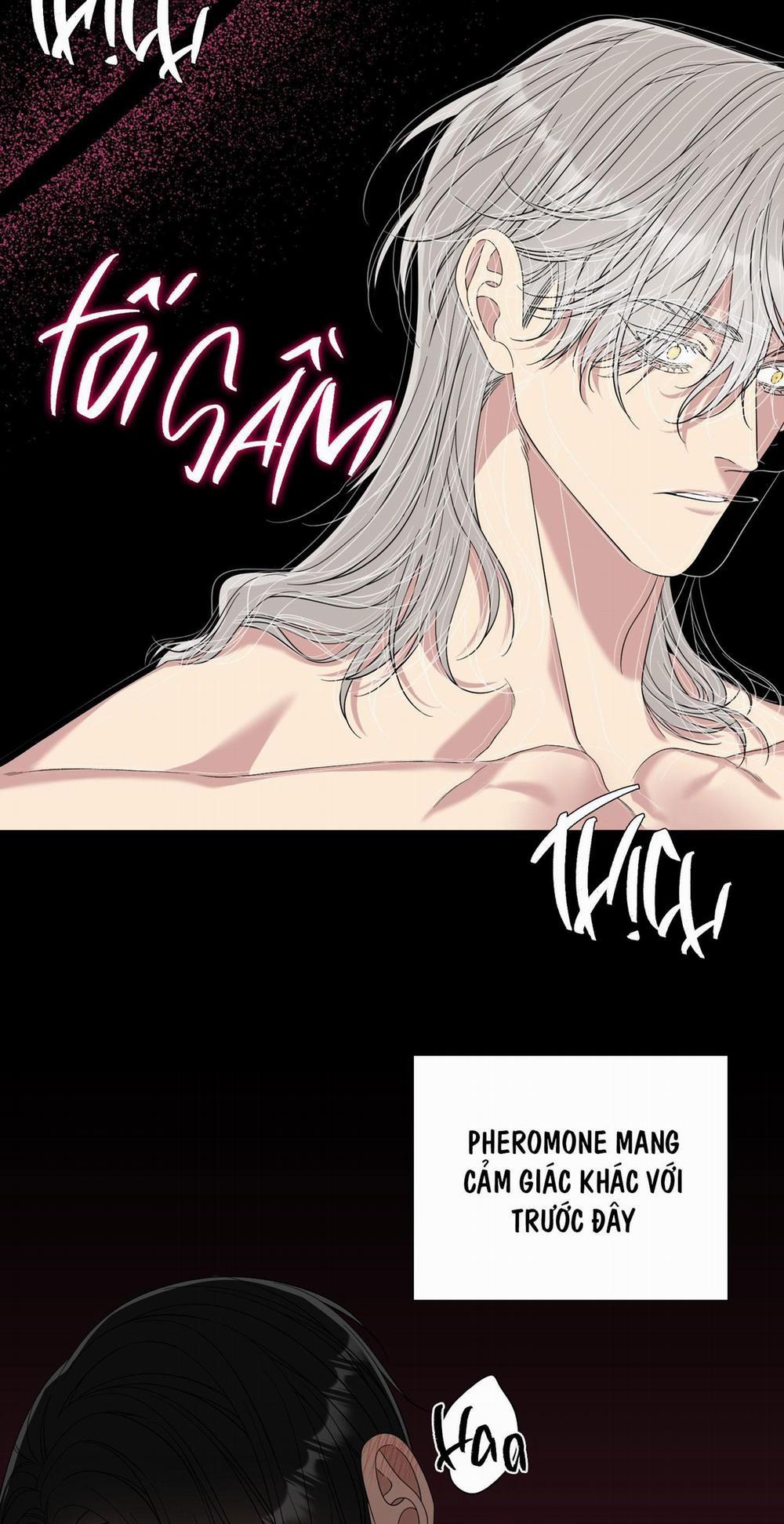 ÁI TÌNH TỰ TÂM 50 trang 34