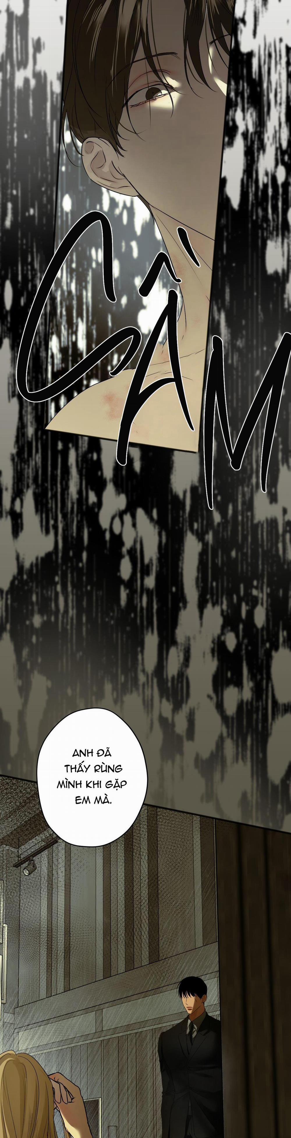 ÁI TÌNH VÀ DỤC VỌNG 19 full HD trang 12