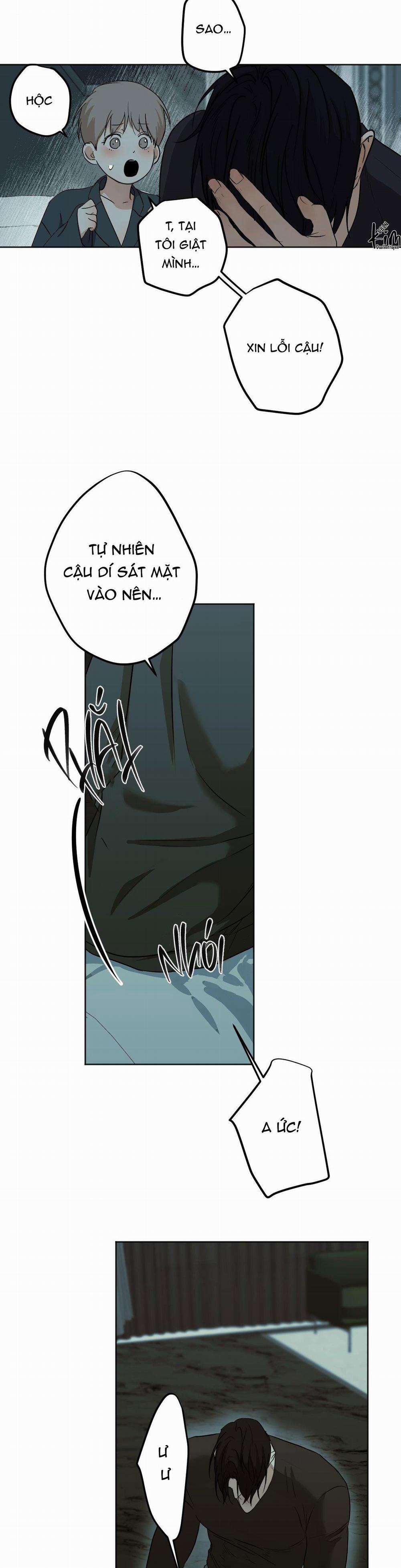 ÁI TÌNH VÀ DỤC VỌNG 23 trang 12