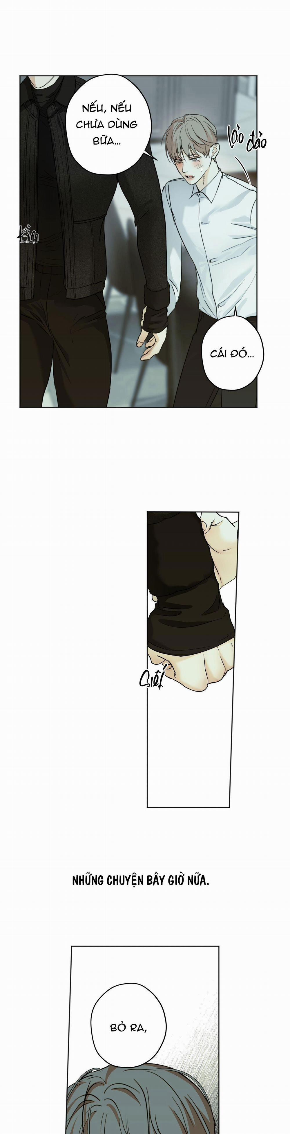 ÁI TÌNH VÀ DỤC VỌNG 26 trang 10