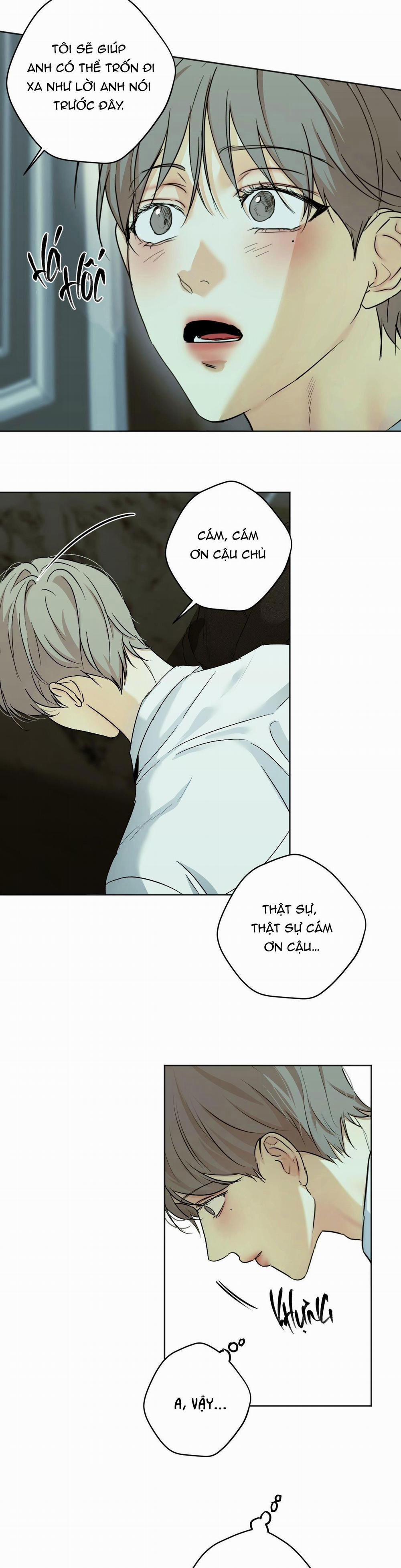 ÁI TÌNH VÀ DỤC VỌNG 26 trang 17