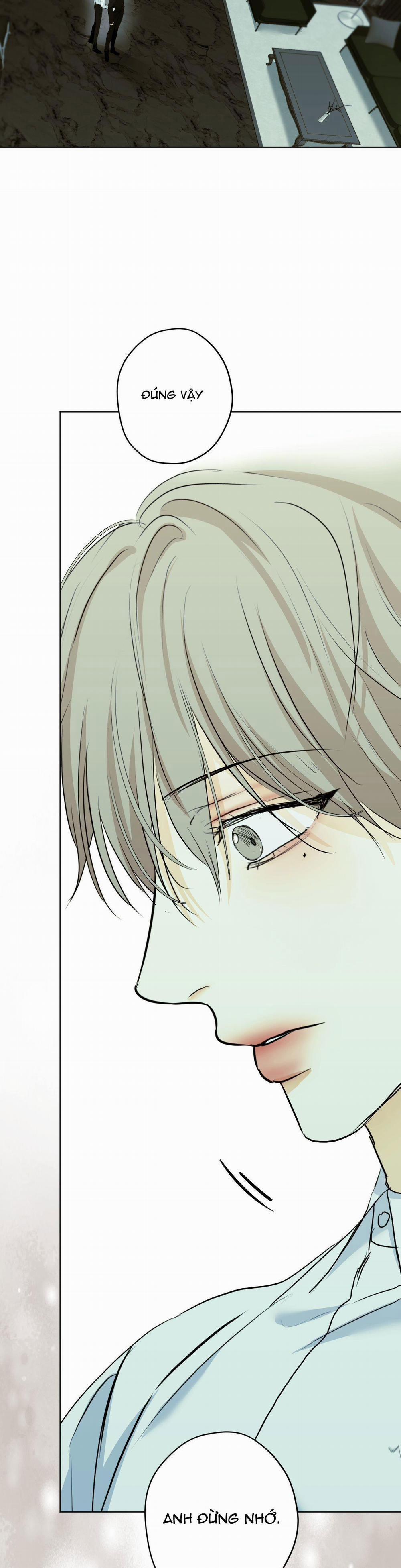 ÁI TÌNH VÀ DỤC VỌNG 27 trang 11