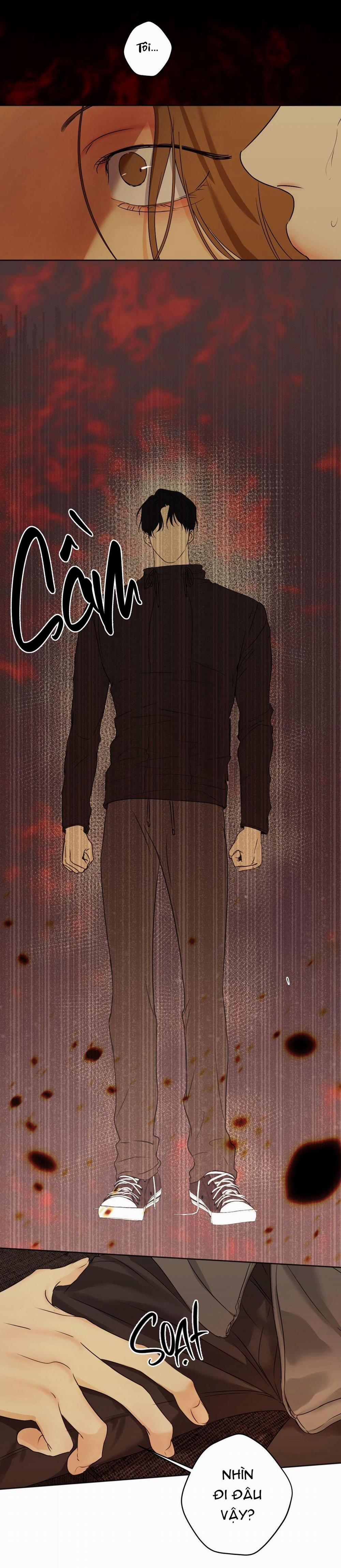 ÁI TÌNH VÀ DỤC VỌNG 33 trang 18