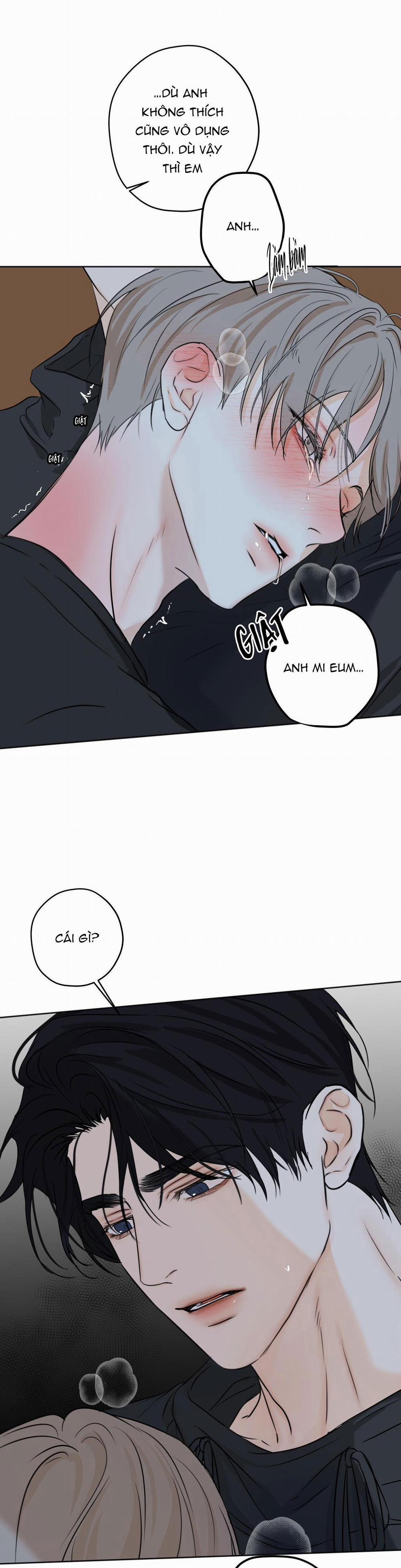 ÁI TÌNH VÀ DỤC VỌNG 36 trang 14