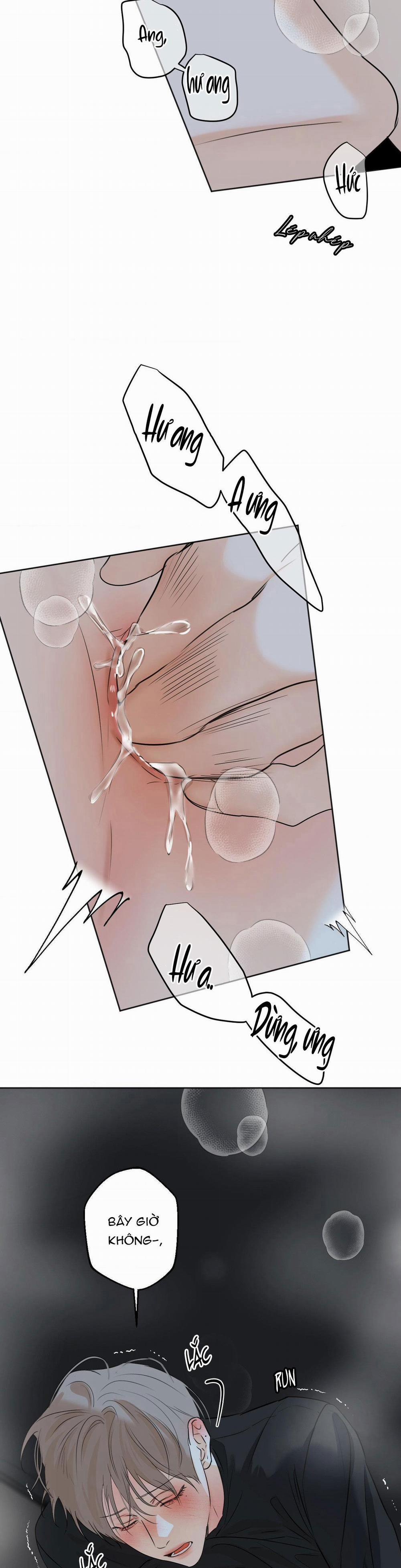 ÁI TÌNH VÀ DỤC VỌNG 36 trang 8