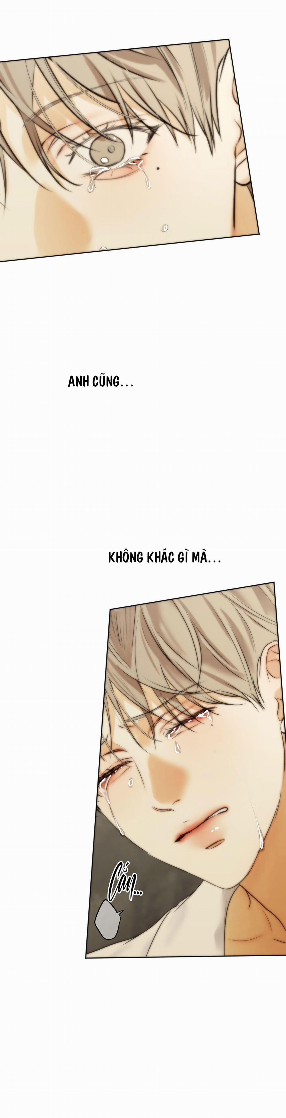 ÁI TÌNH VÀ DỤC VỌNG 38 trang 19