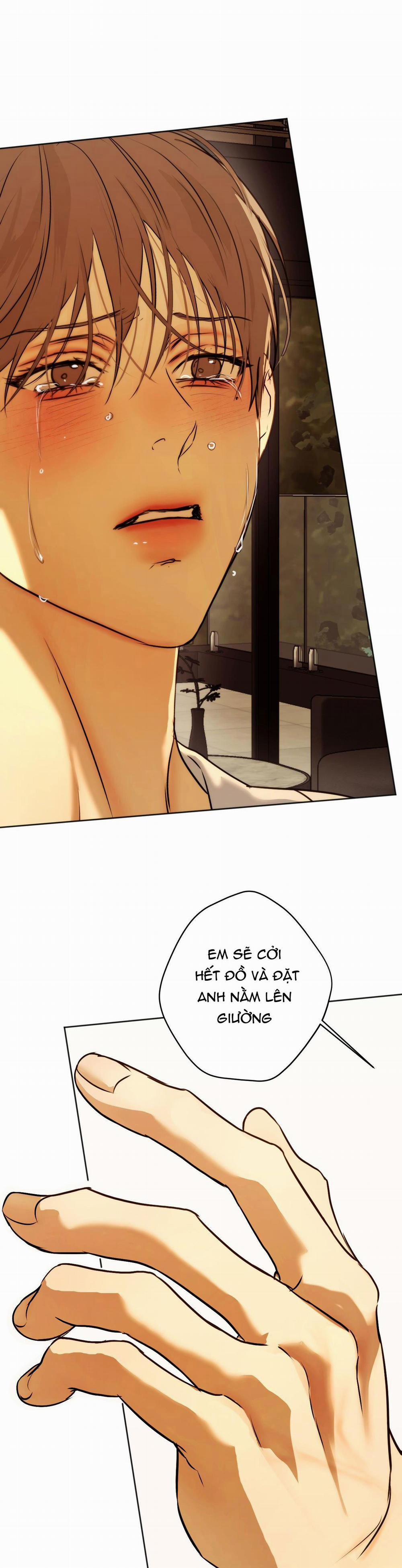 ÁI TÌNH VÀ DỤC VỌNG 39 trang 28